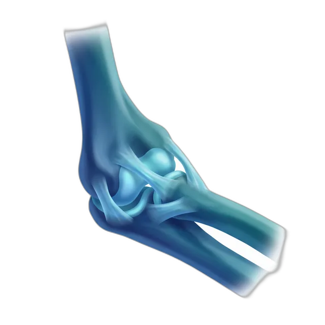 Articulación del codo