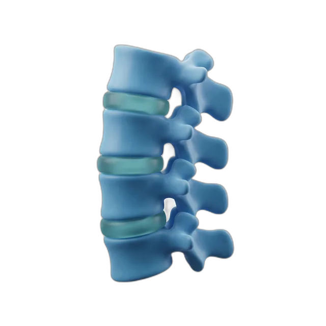 Zona lumbar